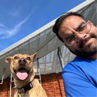 Nigel Frank International Employee Yuv Nichani's profile photo