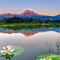 Statistics South Africa Employee Nico Jones's profile photo