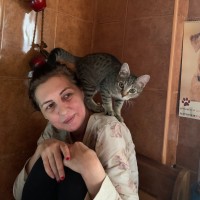 PS4 A/S Employee Carmen Niculescu's profile photo