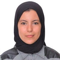 SoftyDev Employee Ouissam Hamdi's profile photo