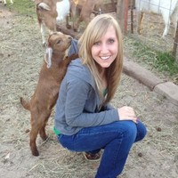 Madison Plains School District Employee Renee Perkins's profile photo