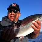 Nomer Santos Email & Phone Number