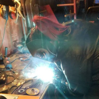 Paws into Grace Employee Brooke Garber's profile photo