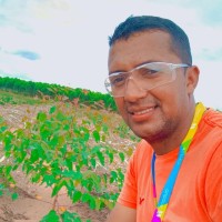 Sollum Florestal Employee José Uelton's profile photo