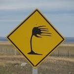 Jurjan Dijkstra Email