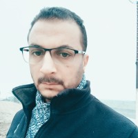 primocat paints Employee Amr Aly's profile photo