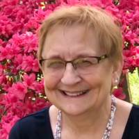 Gail Daurelio Email & Phone Number