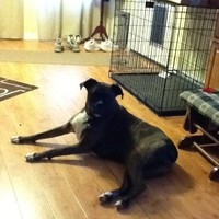 Sterling Medical Group Employee Beth Henson's profile photo