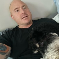Shawn Reilly Email & Phone Number