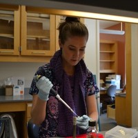 Middlesex Community College Employee Elizabeth Bolte's profile photo