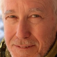 Michael Hamman Email & Phone Number
