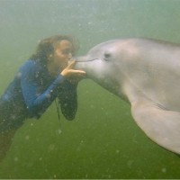 Dolphins Plus Employee Caroline Chesson's profile photo