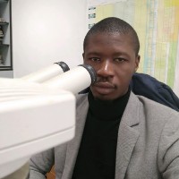 PETROCI Employee Moritié Bamba's profile photo