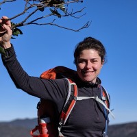 Australian Association of Social Workers (AASW) Employee Aroha Yates's profile photo