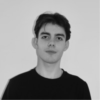 Andrei Ilinescu Email