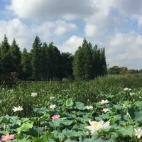 Rtech plastics Employee Sunny Z's profile photo