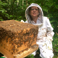 Tammy Bonifield Email & Phone Number