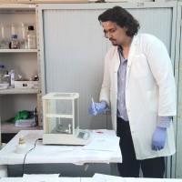 Grex Consulting Employee Nabil Khatib's profile photo