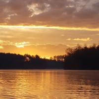 Georgia Community Management (GCM) Employee Kevin Thurman's profile photo