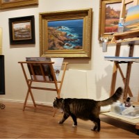 L'Auberge Carmel, Relais & Chateaux Employee Catarina Orr's profile photo