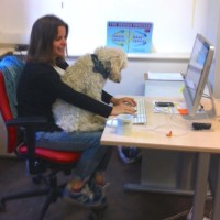 UCD Innovation Academy Employee Eileen Diskin's profile photo