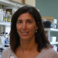 Quincy College Employee Mariana Matrajt's profile photo