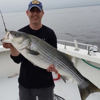 Justin Cleaver Email