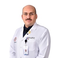 Mohamed Atwa Email