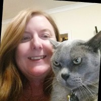 VetPartners Australia and New Zealand Employee Kim Hutchison's profile photo