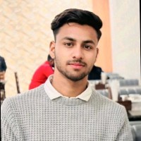 Fonix Technologies Employee Vinayak Chouhan's profile photo