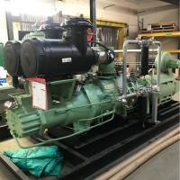 Peerless Energy Systems Employee Matthew Sweeney's profile photo