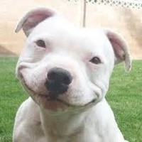 unknown page Employee Ian Birge's profile photo