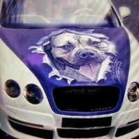 Logitech Employee Jose Lee's profile photo
