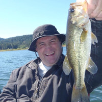 Bill Basham Email