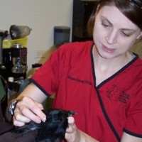 Renee Schott Email & Phone Number