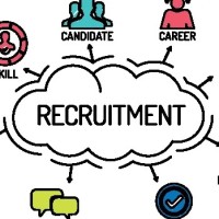 David Roy Email & Phone Number