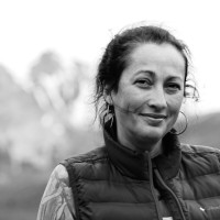 Original Productions Employee Tara Williams's profile photo