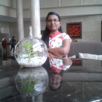 Krayonnz (Vedarsy Technologies Pvt. Ltd.) Employee Chitra Sasidharan's profile photo