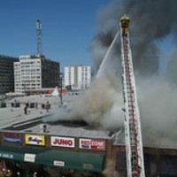 Juan Penuelas Email & Phone Number