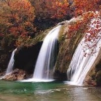 Davis Chamber of Commerce Employee Davis Chamber of Commerce's profile photo