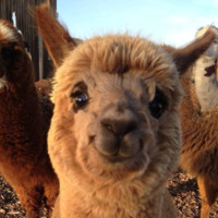 PayKey Employee Юрій Деревенько's profile photo