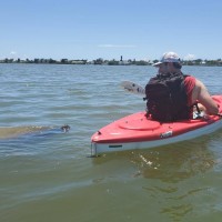 Sanibel-Captiva Conservation Foundation (SCCF) Employee Michael Mills's profile photo