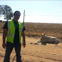 Impero Constructions Employee Gabriele Mezzatesta's profile photo