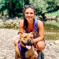 Gymboree Employee Stephanie Thornton's profile photo