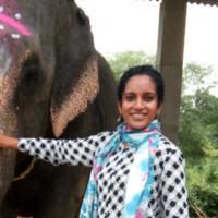 IndeBo Employee Jyoti Nair's profile photo
