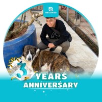 AMIT GROUP Employee Ngo Phuc's profile photo