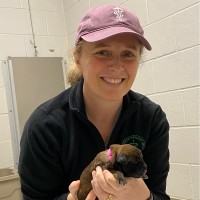 Stephanie Mont Email & Phone Number