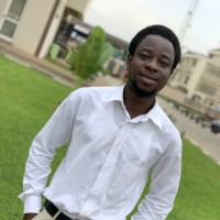 Work Pillars Employee Adesoji John's profile photo