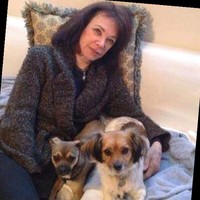 PLG Estates Beverly Hills Employee Janet Factor's profile photo