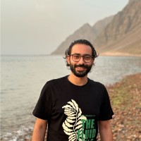 Air AI Employee Ahmed Attar's profile photo